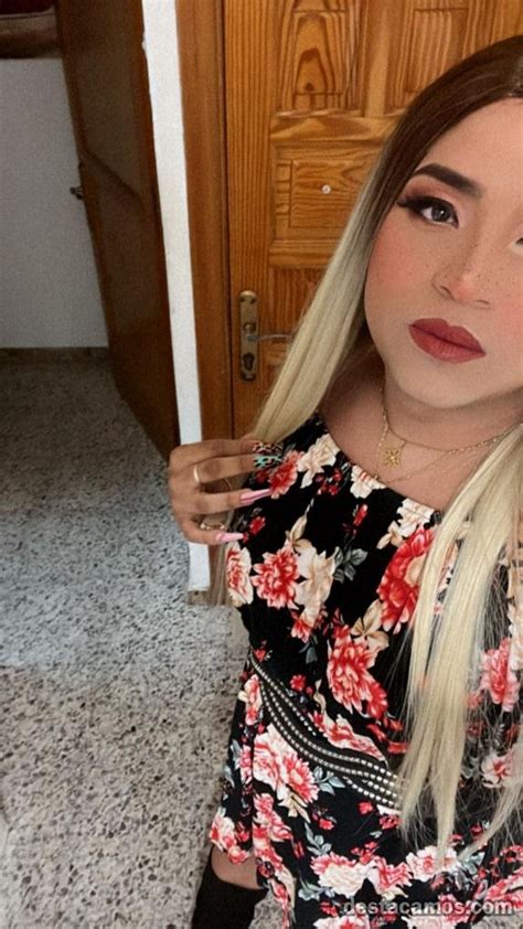 Destacamos Trans y Travestis en Avilés ️Contactos en。